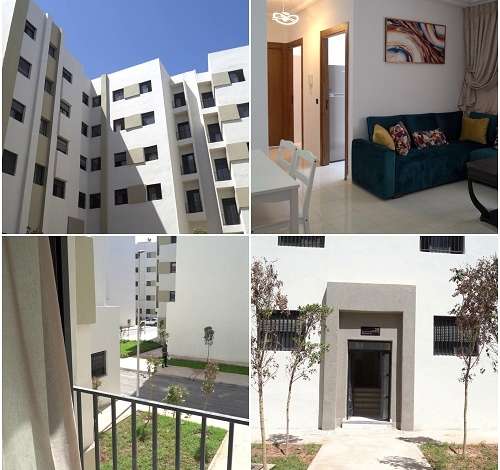 HAMZA-500x470 HAMZA-500x470