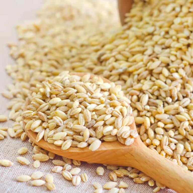 Wheat-Berries_THUMBANIL Wheat-Berries_THUMBANIL