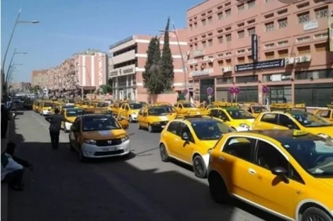 taxiBniMellal_782516550 taxiBniMellal_782516550