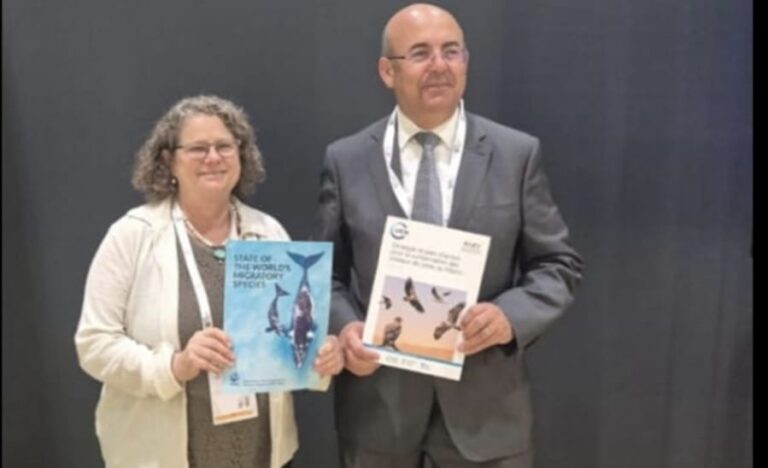 المغرب يطلق أول استراتيجية وطنية لحماية الطيور الجارحة خلال مؤتمر عالمي بأبوظبي