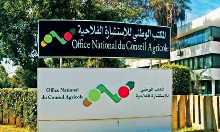 بــــــــــــــــيان اســــتنكاري حول اختلالات خطيرة في تسيير مديرية الموارد البشرية بالمكتب الوطني للاستشارة الفلاحية