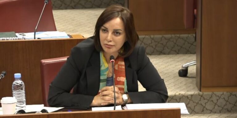 مديحة خيير: “كاينين الفراقشية في اللحوم والأدوية والحكومة مطالبة باش تصدى ليهم”