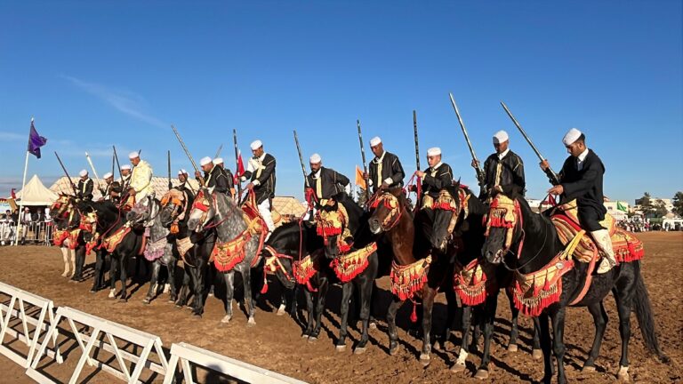 تيفلت تحتضن مهرجان التبوريدة احتفاءً بروح المسيرة الخضراء وعيد الاستقلال