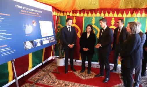 الرحامنة… المصادقة على مشروع رائد لإنتاج 400 طن من الروبيان الأبيض بكلفة 10 ملايير سنتيم