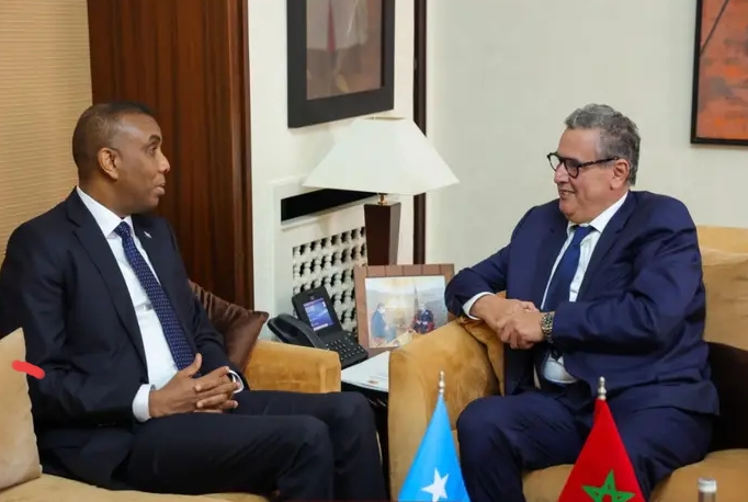الرباط مباحثات رفيعة بين أخنوش ورئيس الوزراء الصومالي لتعزيز التعاون الثنائي