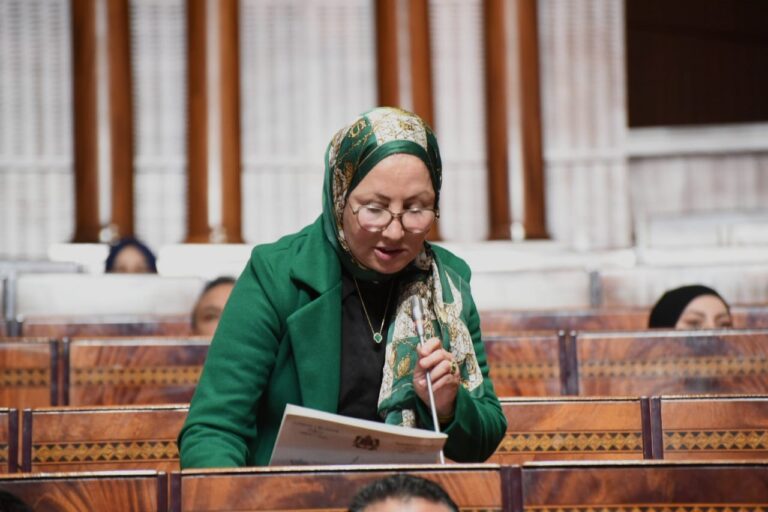 فريدة خنيتي تدعو وزيرة السياحة إلى تثمين الزربية الستوتية خلال اجتماع لمجلس النواب