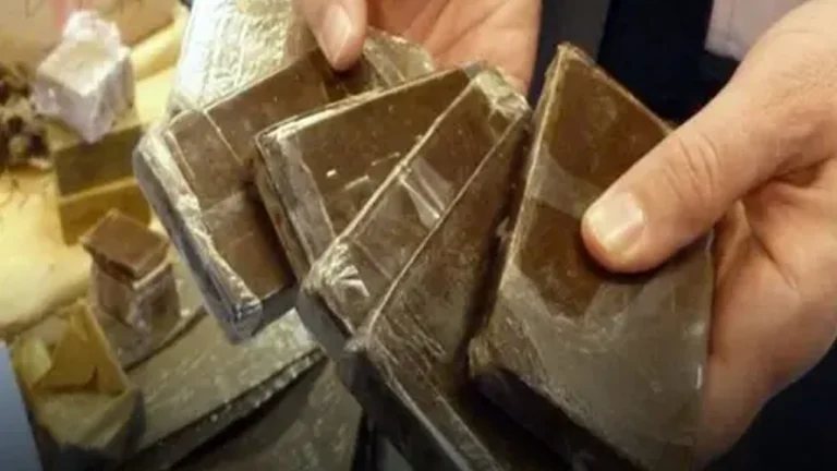 إحباط تهريب 17 كيلوغراماً من الحشيش بمعبر باب مليلية بعد تفتيش دقيق لسيارة مشبوهة