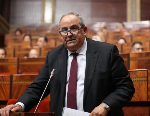 67aa0e77d9133-528x410