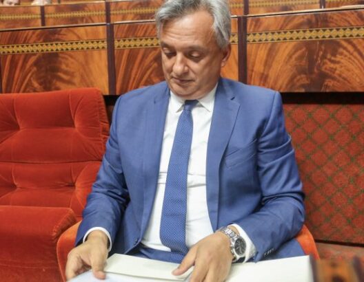 69773de9530a7-528x410