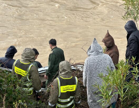 6988b929429ab-528x410