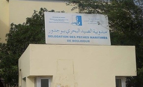 تفنيد حملات التضليل: مندوبية الصيد البحري ببوجدور في مواجهة الأجندات المشبوهة