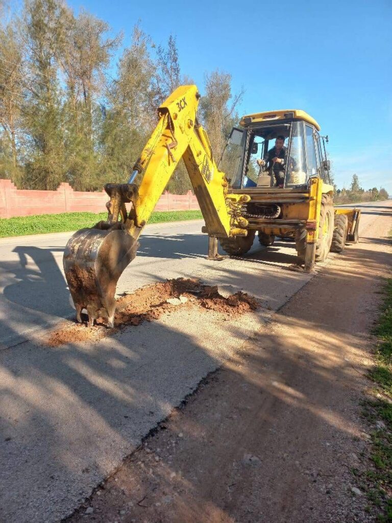 WhatsApp Image 2026-02-11 at 19.52