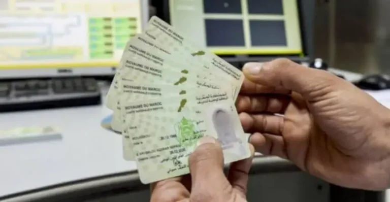 images (4)_1771766210