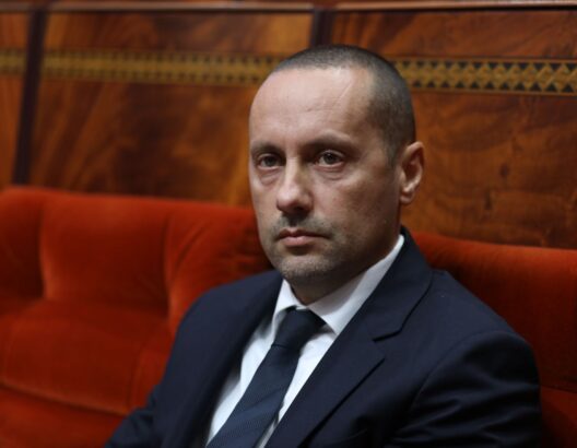 677bf2c208475-528x410