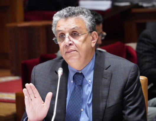 67e173765d859-528x410