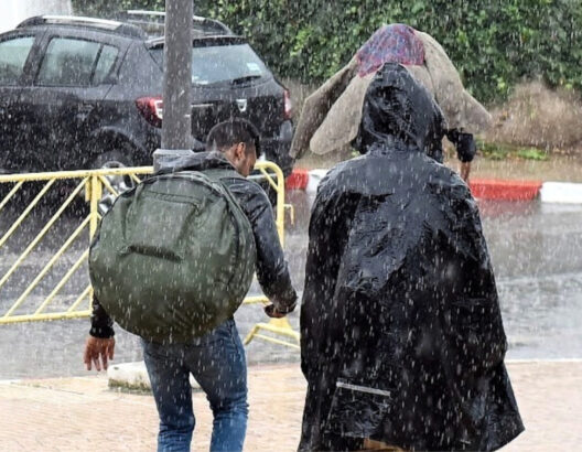 694091dcbabce-528x410