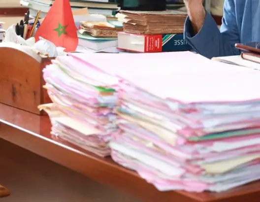 699e056da800a-528x410