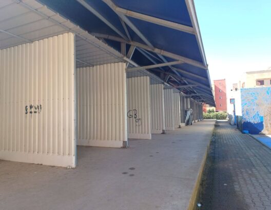 69b55f740e999-528x410