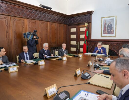 69b98ea33c594-528x410