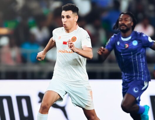 69c02f0fa112c-e1774202649292-528x410