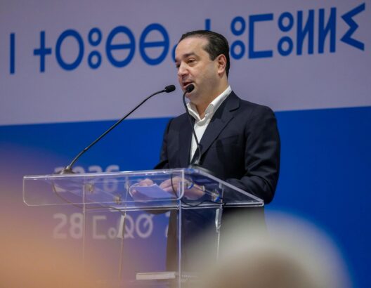 69cb92ba01abc-528x410