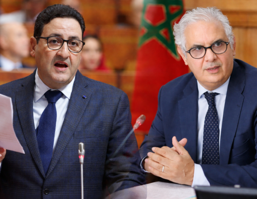 69cbd29abc5cf-528x410