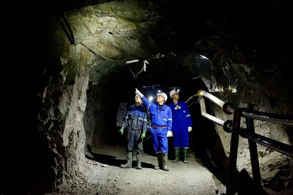 WhatsApp-Image-2025-03-28-at-10.52