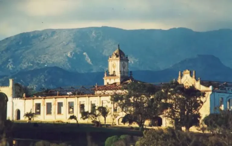 images (2)_1773665567