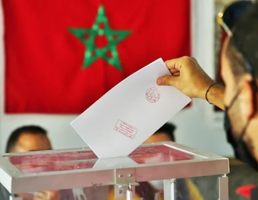 فاطمة التامني تجر لفتيت إلى المساءلة البرلمانية بسبب أعطاب خدمات اللوائح الانتخابية الرقمية