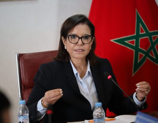 67338d5b328c8-528x410