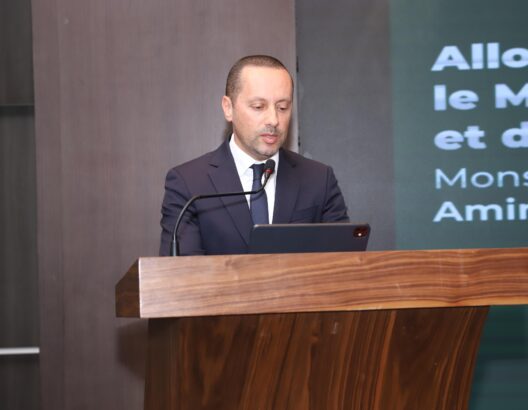 69cba24a74ccc-528x410