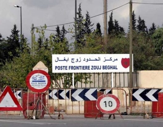 69cc32d8acd83-528x410 (1)