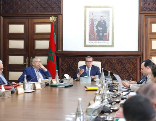 69ce7d11eee85-528x410