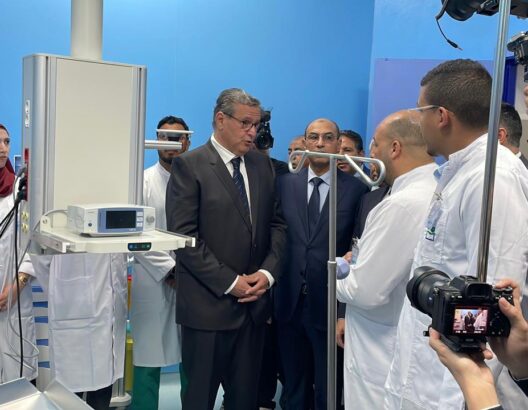 69d10ab5deec7-528x410