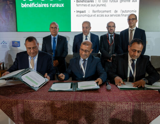 69ea9e6f9a694-528x410