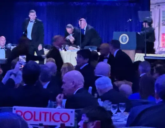 69eddc71834b7-528x410