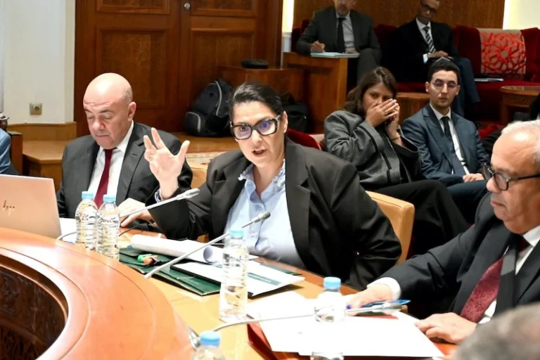 Fatima-Ezzahra-El-Mansouri-parlement-comite