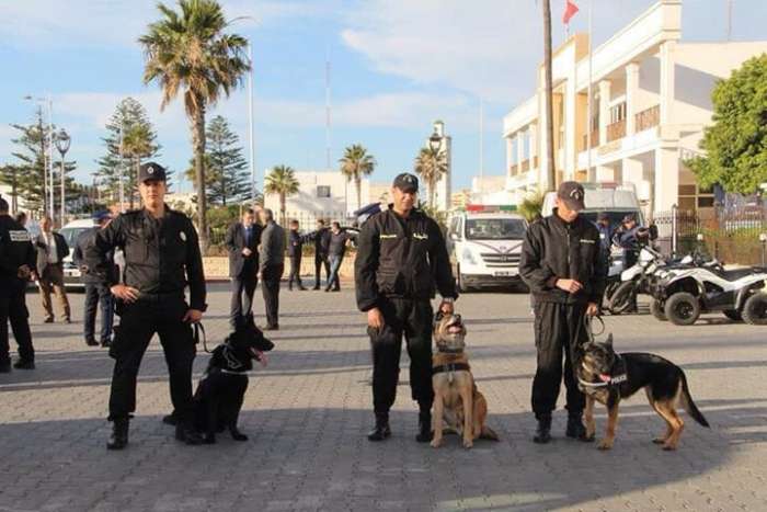 الأمن الوطني يفتح دورة تكوينية متخصصة لفائدة عناصر أمنية مالية في مجال الكلاب البوليسية