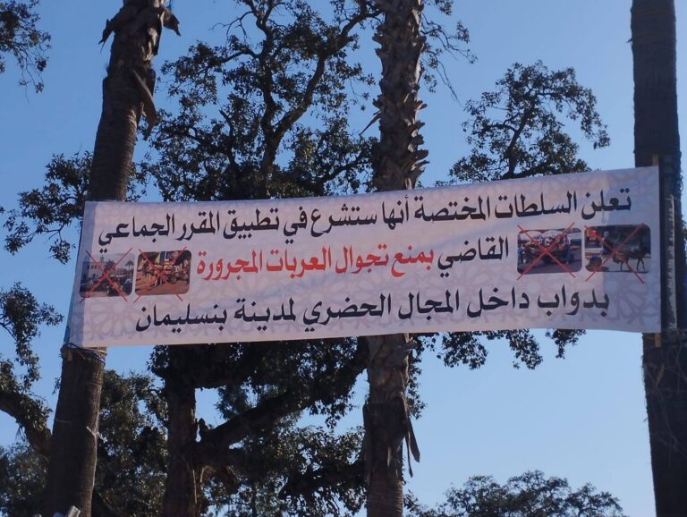 منع العربات المجرورة بالدواب يدخل حيز التنفيذ بـبنسليمان وسط جدل اجتماعي