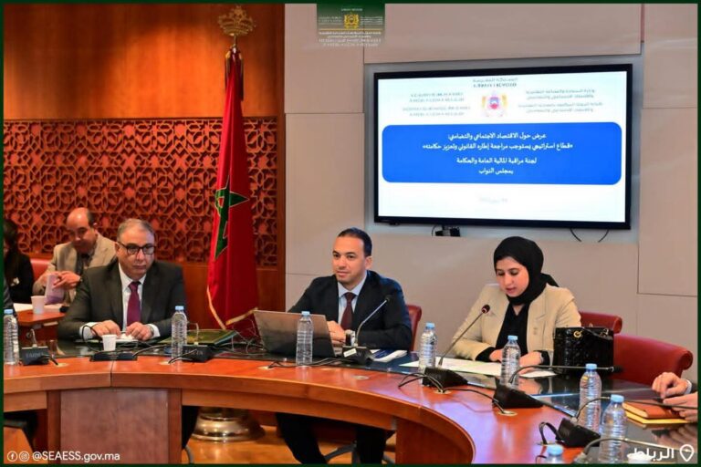 السعدي من البرلمان: إصلاحات مرتقبة لتعزيز حكامة الاقتصاد الاجتماعي والتضامني