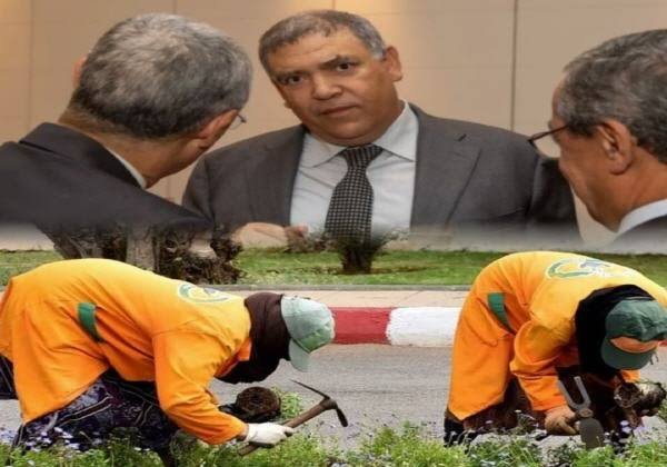 اختلالات في تعويضات العمال العرضيين تفتح تحقيقات بالجماعات الترابية