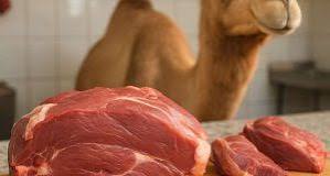 “حماة المستهلك” يدقون ناقوس الخطر بسبب ارتفاع أسعار لحم الإبل بالعيون