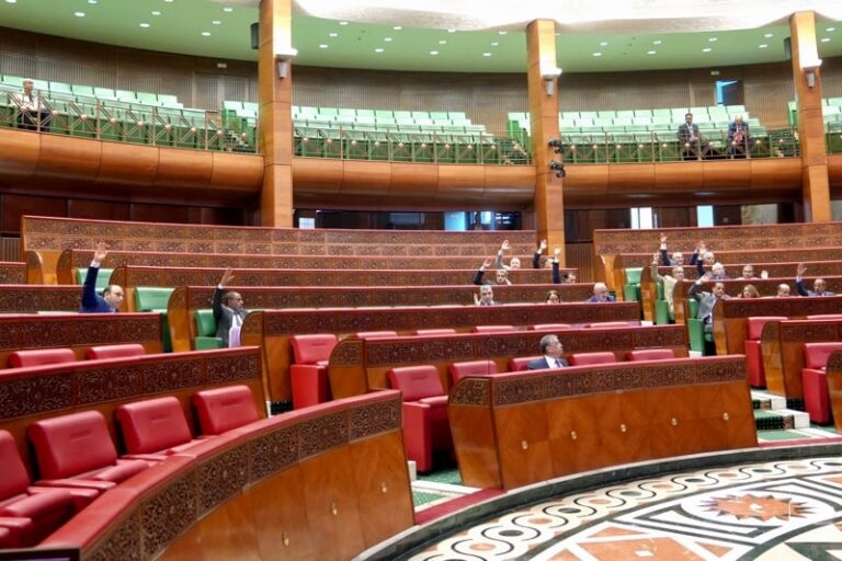 parlement-vote-adoul-2