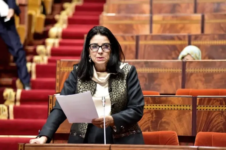 انتحال المنصات الرسمية والسطو على المعطيات الشخصية يجرّ ملف الأمن الرقمي إلى البرلمان