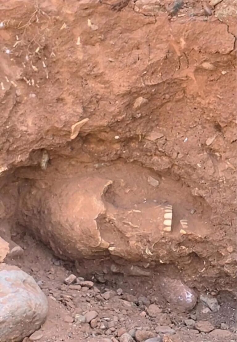 العثور على بقايا عظام يُشتبه في كونها بشرية يستنفر السلطات بإقليم الحوز