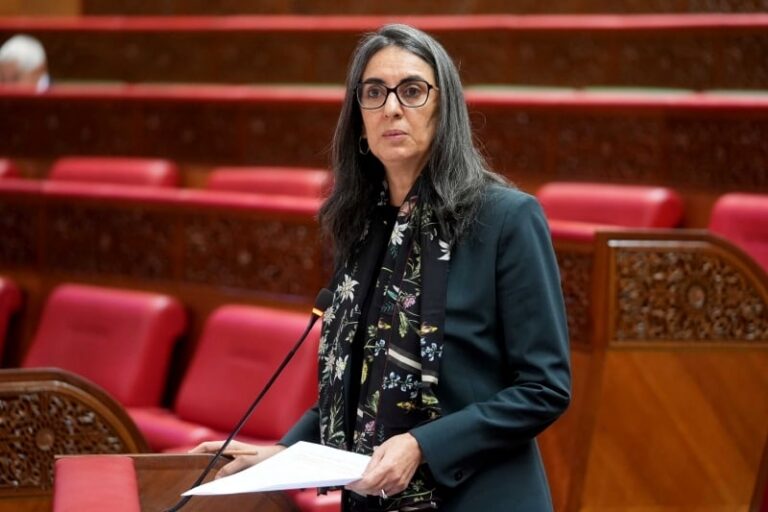 alaoui-parlement