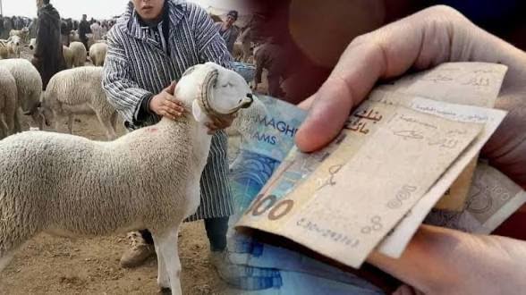 غياب “الأحرار” يثير الجدل.. ثلاث فرق برلمانية تتحرك لتقصي حقائق دعم المواشي