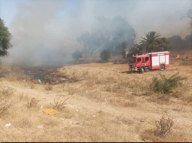 حريق مهول يلتهم غابة المرابو بالخميسات ويهدد منازل ومحاصيل زراعية