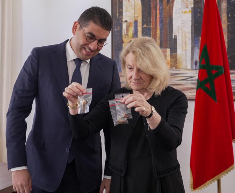 المغرب يستعيد من فرنسا مستحاثات نادرة تعود إلى أكثر من 70 مليون سنة