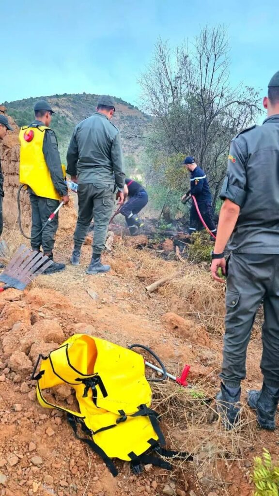حريق بضفاف وادي غيس بإقليم الحسيمة يأتي على مساحة من الغطاء النباتي